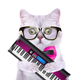 Illustration for article titled Jam Out With Your Cat to These Rocking Tunes